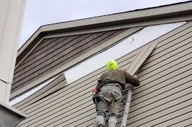 Affordable siding repair and maintenance services in Meridian, ID